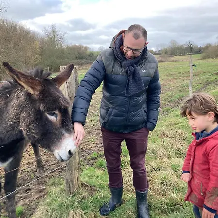 אכסניה Joy Tiny House Saint-Germain-le-Vieux