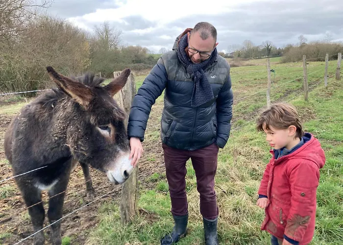 אכסניה Joy Tiny House Saint-Germain-le-Vieux