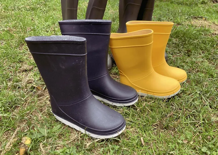 Joy Tiny House * Saint-Germain-le-Vieux